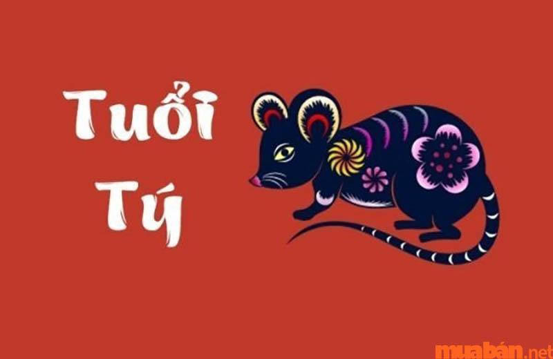 Năm 2008 mệnh gì là thông tin mà nhiều người quan tâm