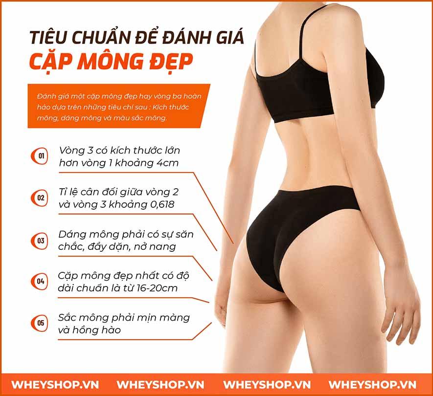 Thế nào là tiêu chuẩn cặp mông đẹp? 100+ hình ảnh mông đẹp nhất thế giới