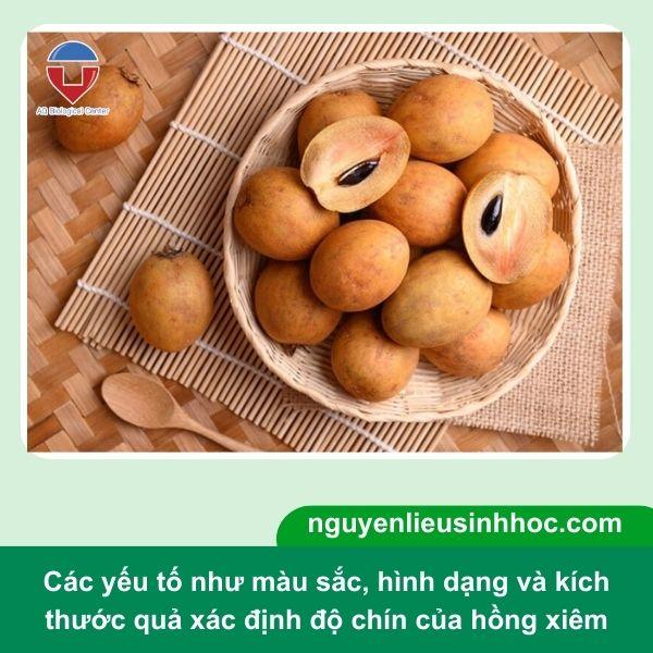 Cách dấm hồng xiêm nhanh chín tại nhà, thơm ngon, giòn ngọt