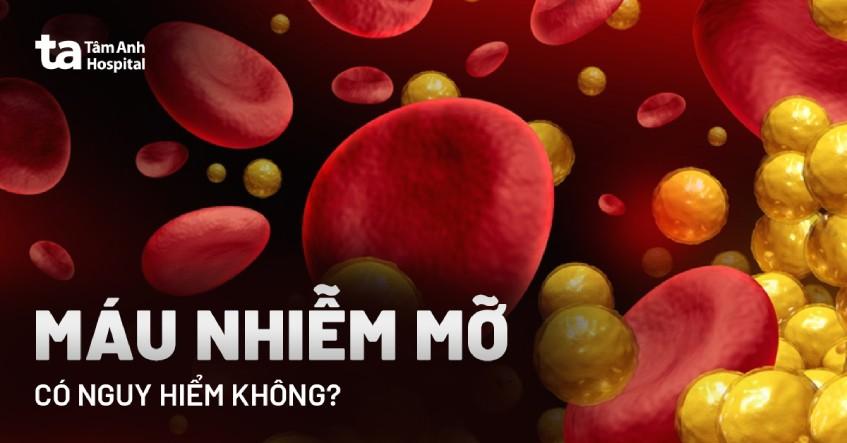 Máu nhiễm mỡ có nguy hiểm không?