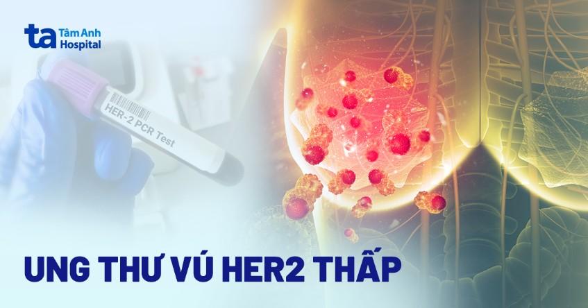 ung thư vú HER2 thấp