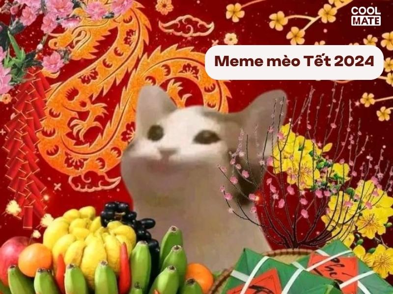 Meme mèo Tết 2024