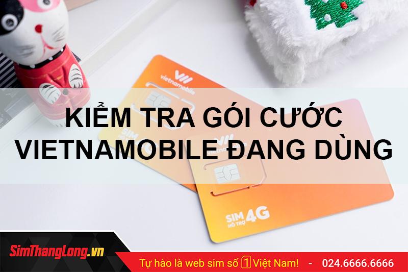 #3 cách kiểm tra gói cước Vietnamobile đang dùng cực hiệu quả