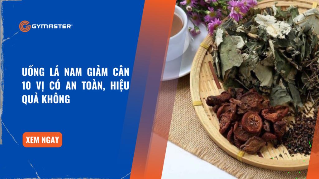 Uống Lá Nam Giảm Cân 10 vị Có An Toàn, Hiệu Quả Không 1