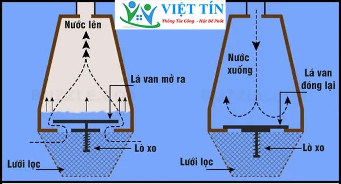 Cấu tạo của Luppe