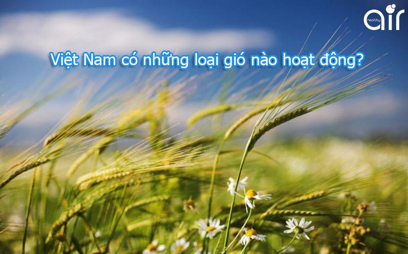 Việt Nam có loại gió nào hoạt động?