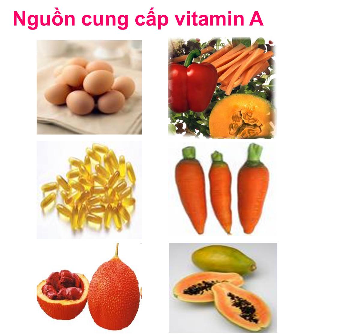 nguồn cung cấp vitamin A