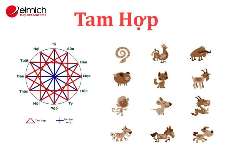 Hình 1: Tam hợp chia thành 4 nhóm, là những con giáp có sự tương đồng về vận mệnh, tính cách, quan niệm sống