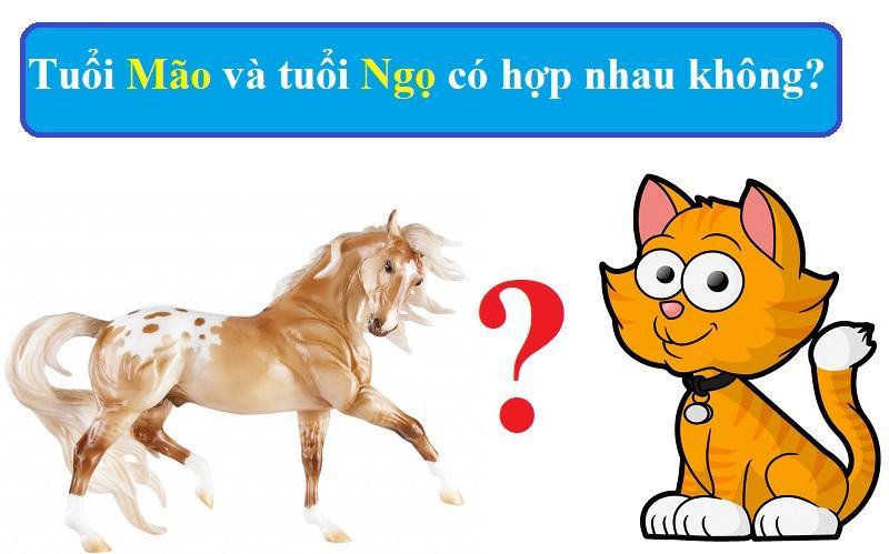 Tuổi Mão và Tuổi Ngọ Có Hợp Nhau Không?