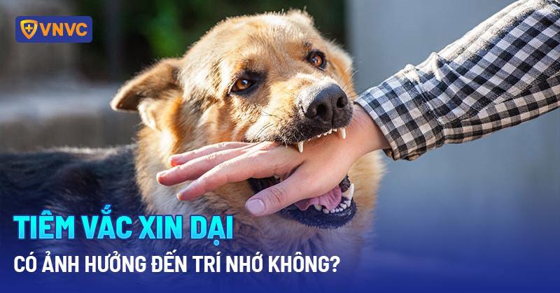 tiêm vắc xin dại có ảnh hưởng đến trí nhớ không