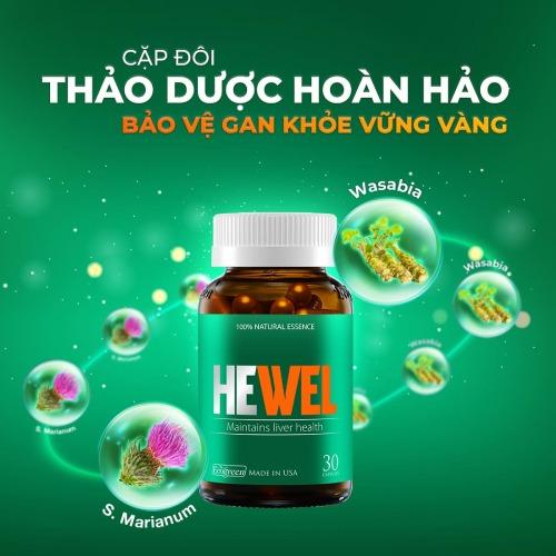 hewel bảo vệ gan