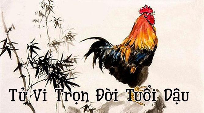 tử vi trọn đời tuổi dậu