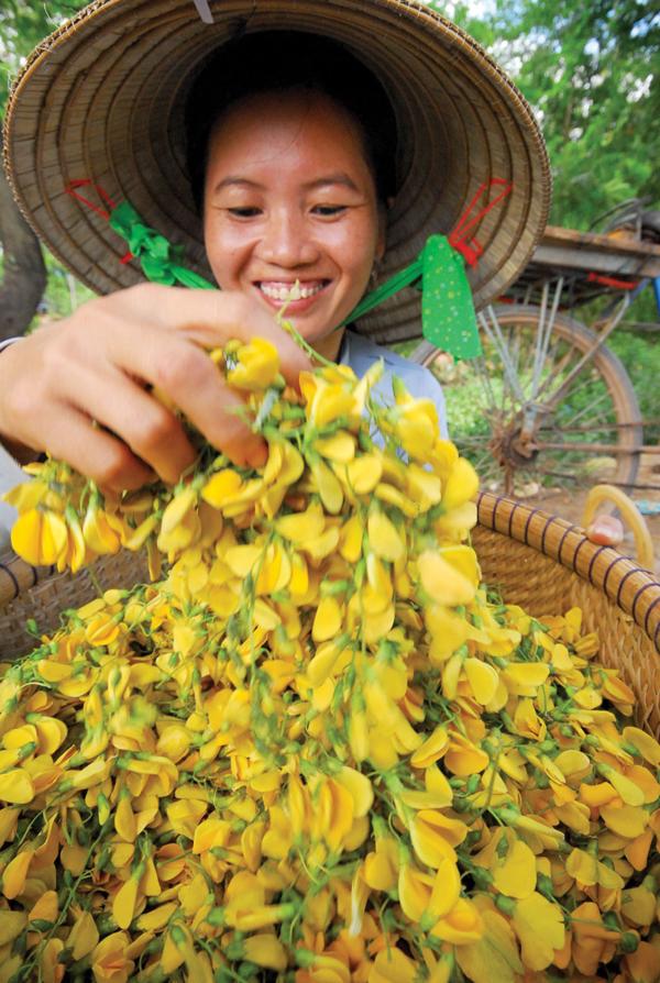 Những món ngon, thuốc quý từ bông điên điển