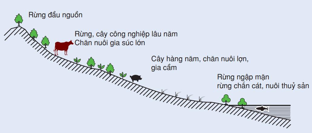 Các bãi biển của vùng Bắc Trung Bộ lần lượt từ Bắc vào Nam là