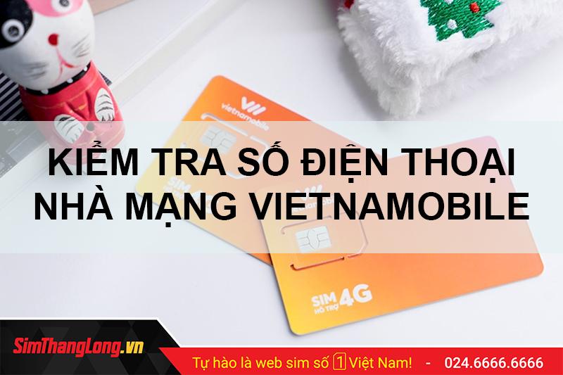 Hướng dẫn cách kiểm tra số điện thoại Vietnamobile – Cập nhật 2024