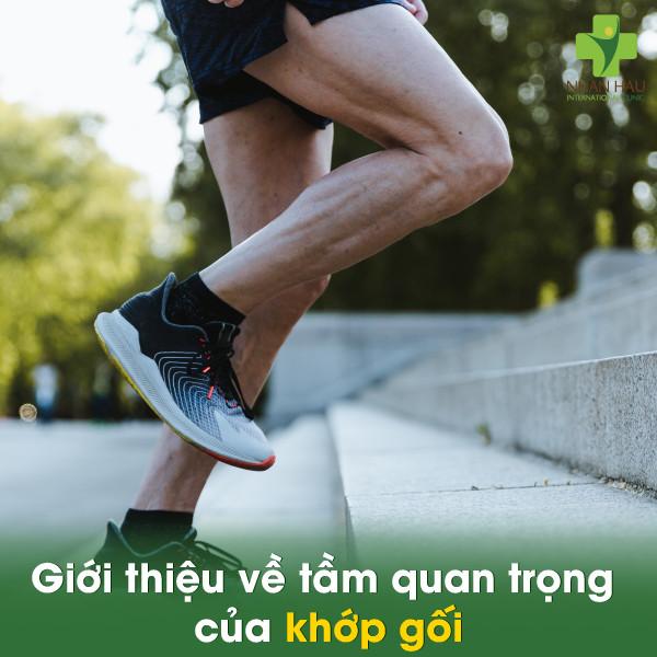 Tiêm chất nhờn vào khớp gối giá bao nhiêu? Nơi uy tín để tiêm chất nhờn vào khớp gối