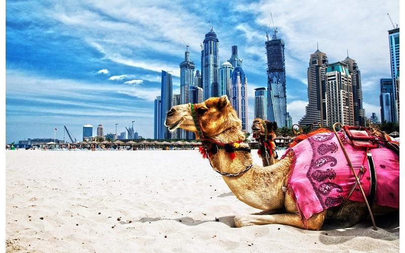 DU LỊCH DUBAI THỜI GIAN NÀO THÍCH HỢP NHẤT ?