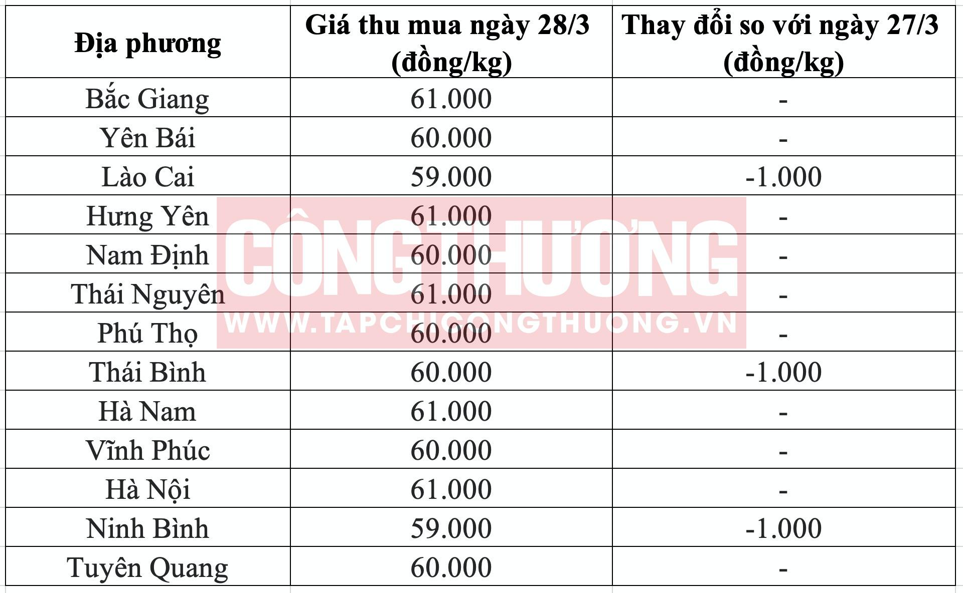 Giá heo hơi hôm nay tại miền Bắc Tạp chí Công Thương