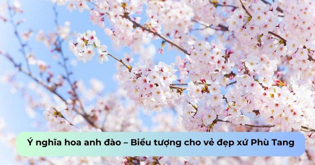 Ý nghĩa hoa anh đào – Biểu tượng cho vẻ đẹp xứ Phù Tang