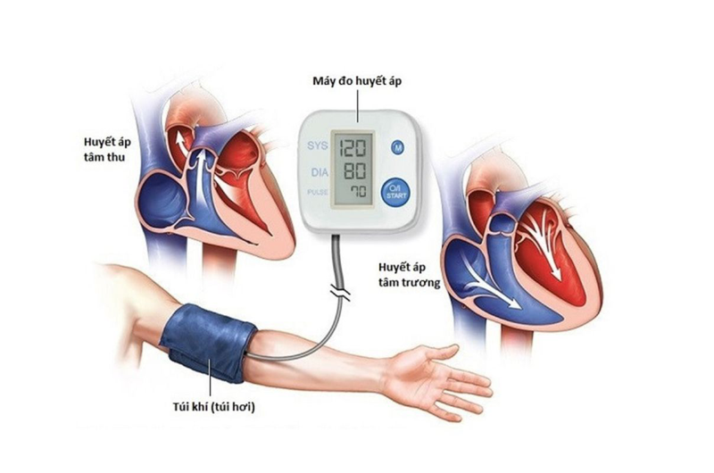 Chênh lệch huyết áp tâm thu và tâm trương phản ánh điều gì 1