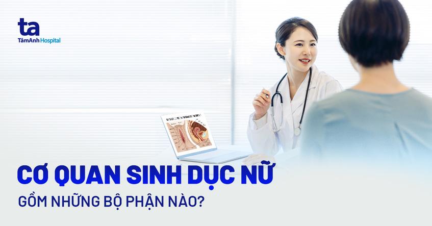 Cấu tạo cơ quan sinh dục nữ gồm bộ phận nào? Có chức năng gì?