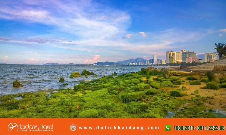 Lịch thủy triều Nha Trang 2024