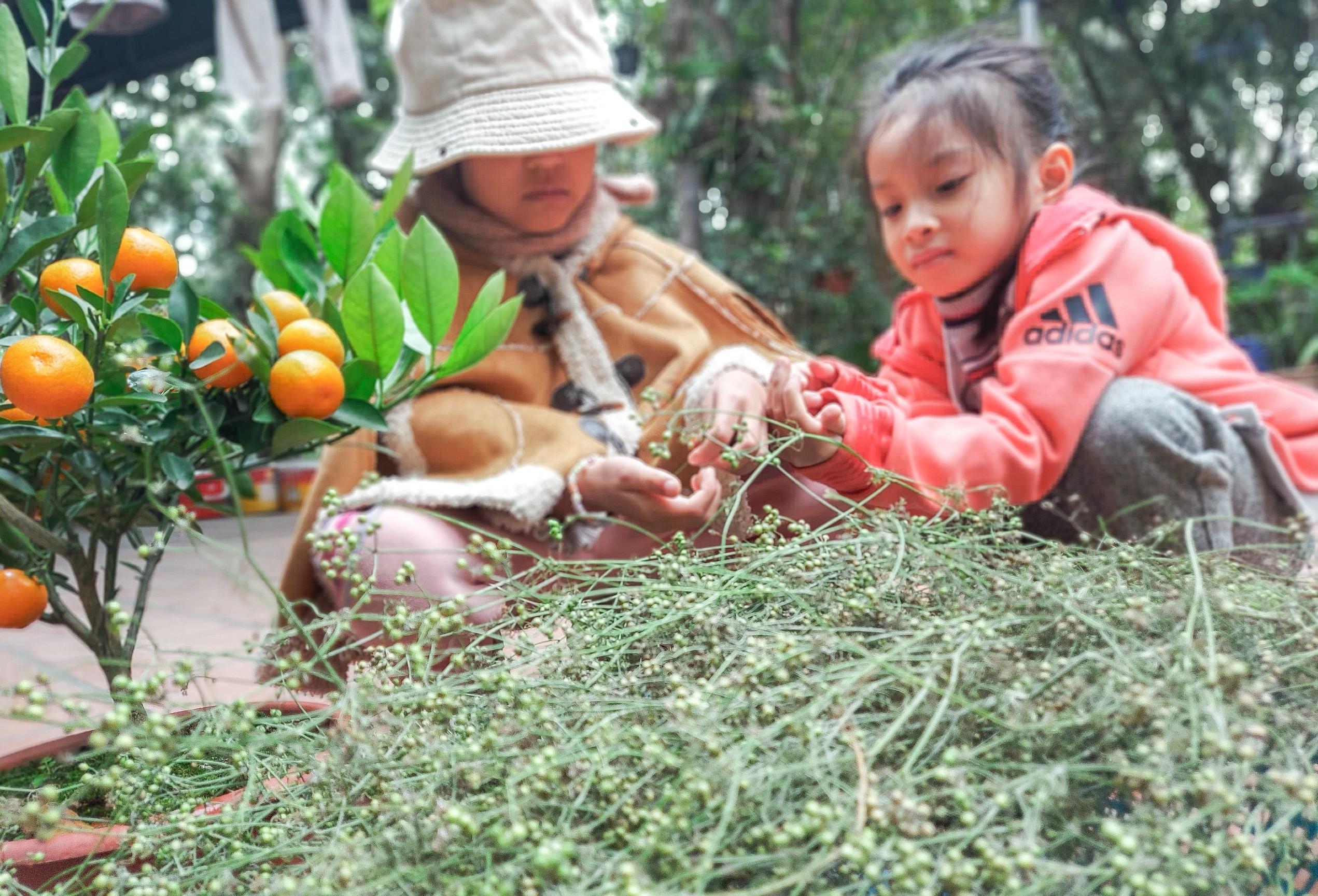 Nồi mùi già ngày tết đánh thức cả trời thương nhớ