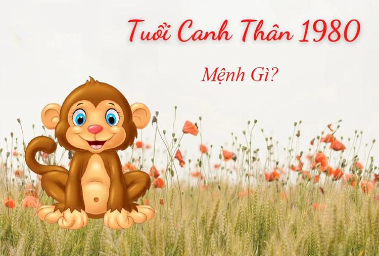 Tổng quan về tuổi canh thân