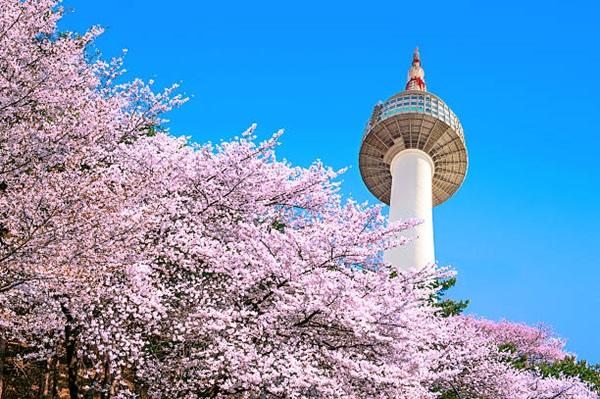 THÁP NAMSAN – KHÁM PHÁ BIỂU TƯỢNG DU LỊCH SỐ MỘT TẠI HÀN QUỐC