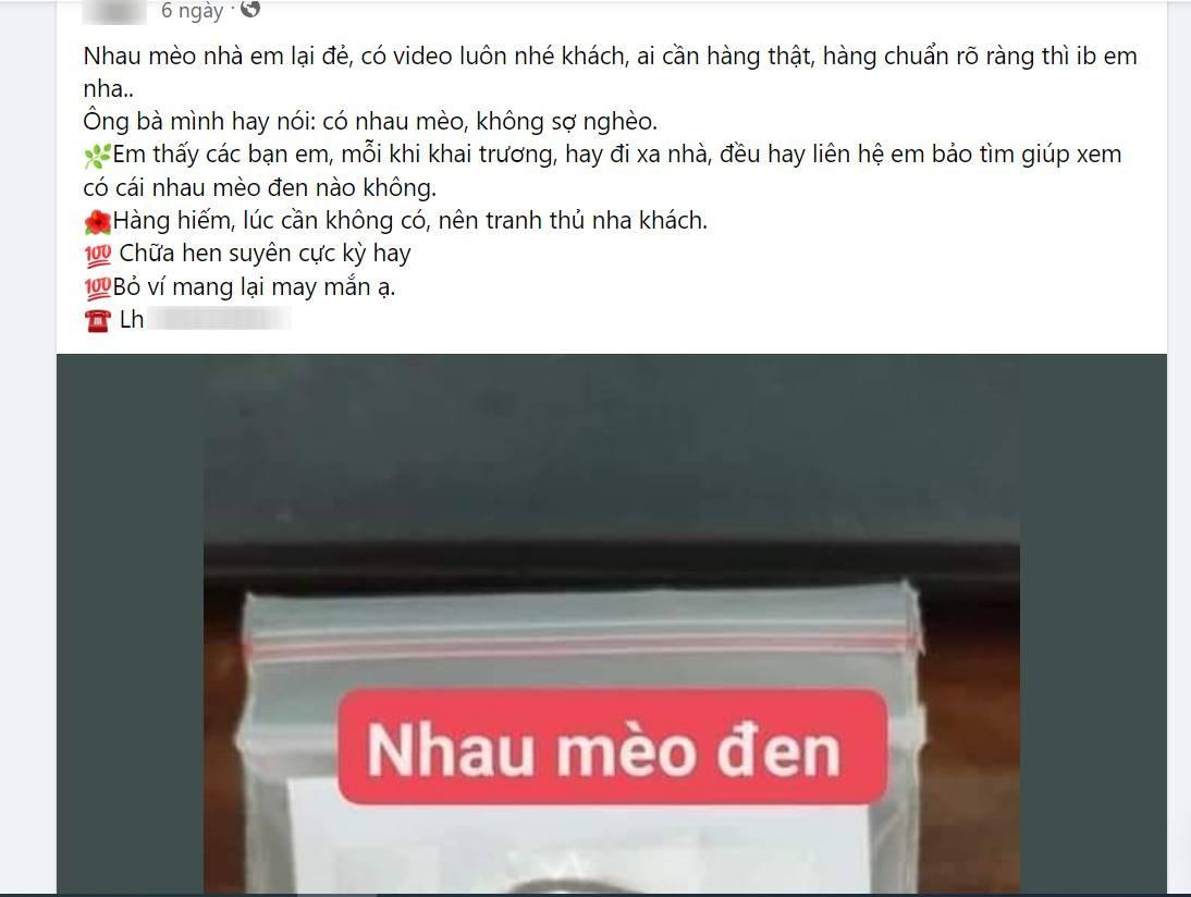 Nhau mèo đen hút tài lộc, chữa nhiều bệnh được bán giá tiền triệu - 4