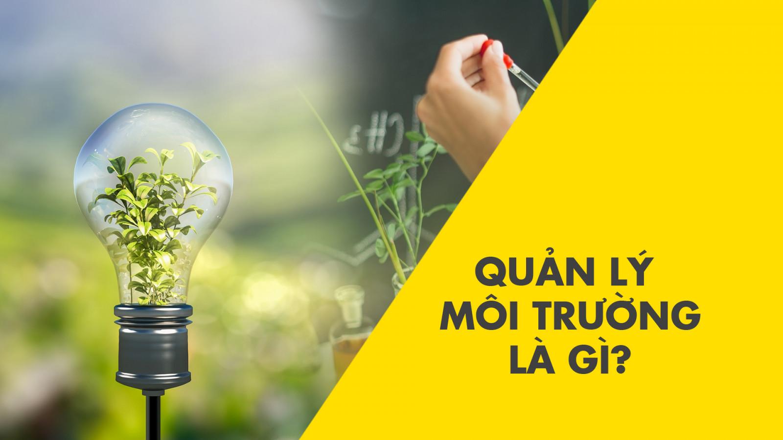 Quản lý môi trường là gì? Công cụ quản lý môi trường gồm những gì?