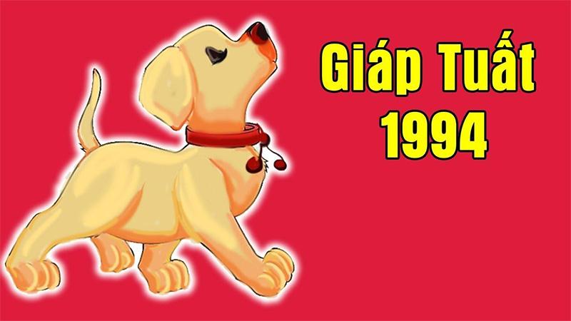 Vì sao tuổi Giáp Tuất 1994 nên mua màu xe hợp phong thủy?