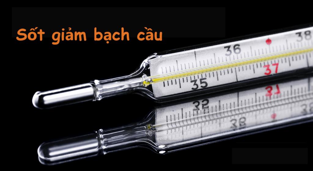 SỐT GIẢM BẠCH CẦU