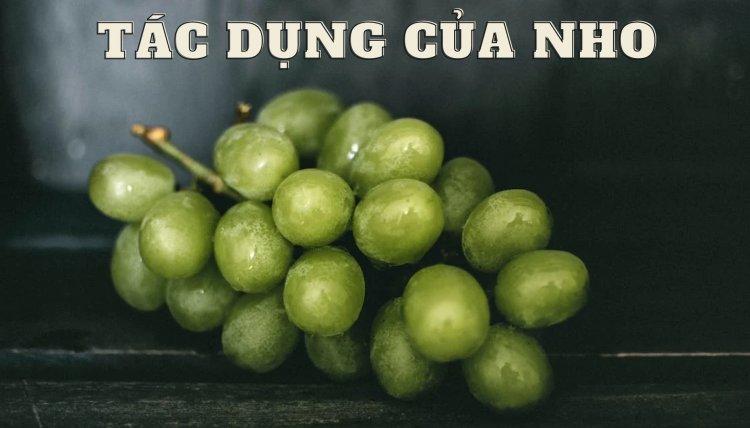 Tác Dụng Của Nho