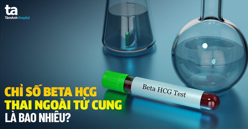 chỉ số beta hcg thai ngoài tử cung