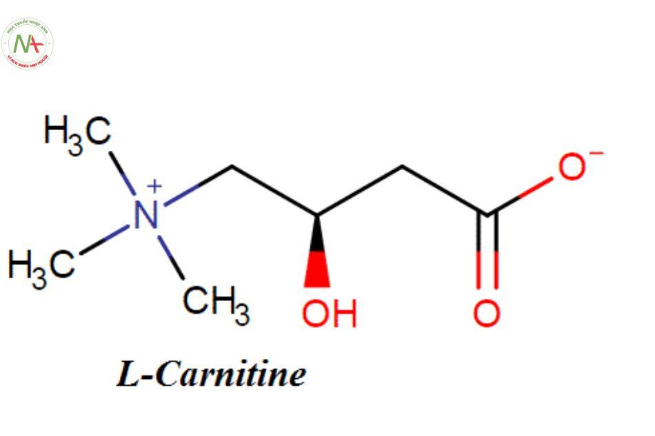 Levocarnitin