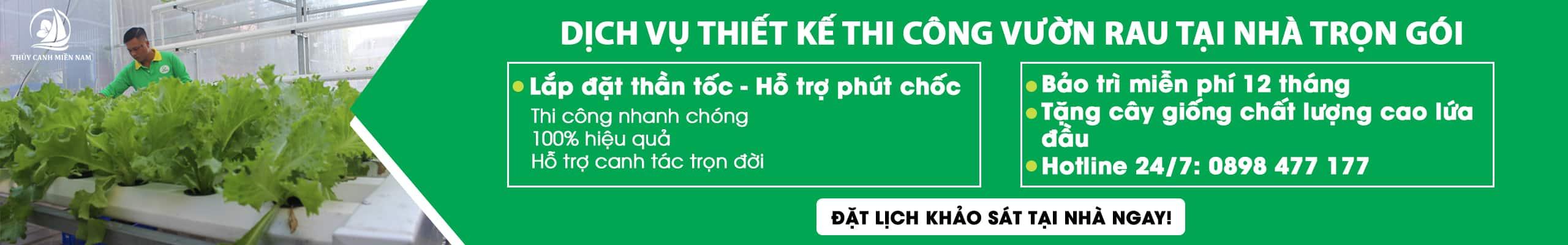 Tự thiết kế hệ thống trồng rau thủy canh tại nhà