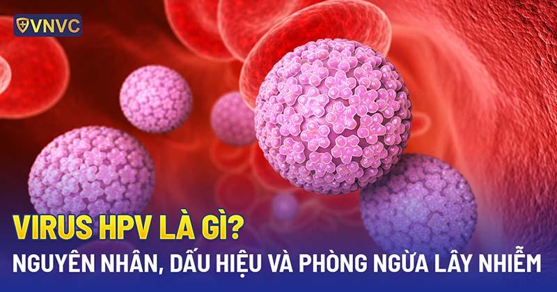 Virus HPV là gì? Nguyên nhân, dấu hiệu và phòng ngừa lây nhiễm