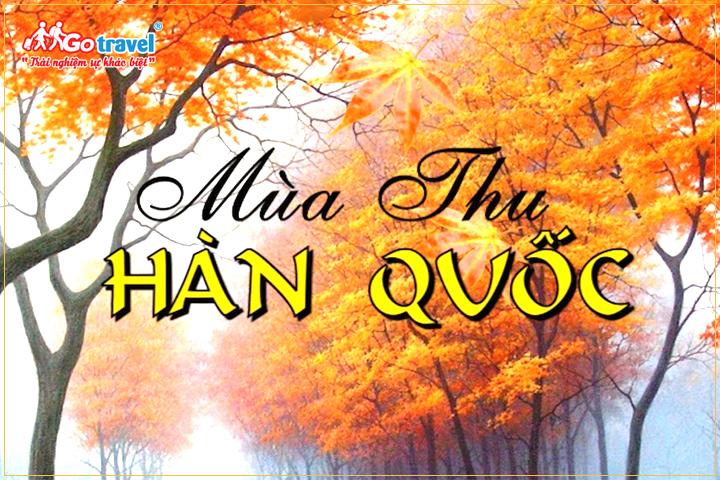 Đẹp Ngỡ Ngàng Khung Cảnh Mùa Thu Hàn Quốc