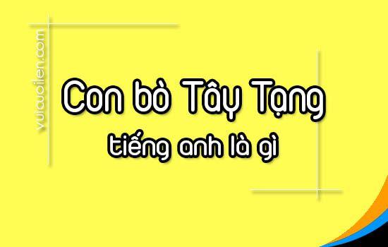 Con bò Tây Tạng tiếng anh là gì