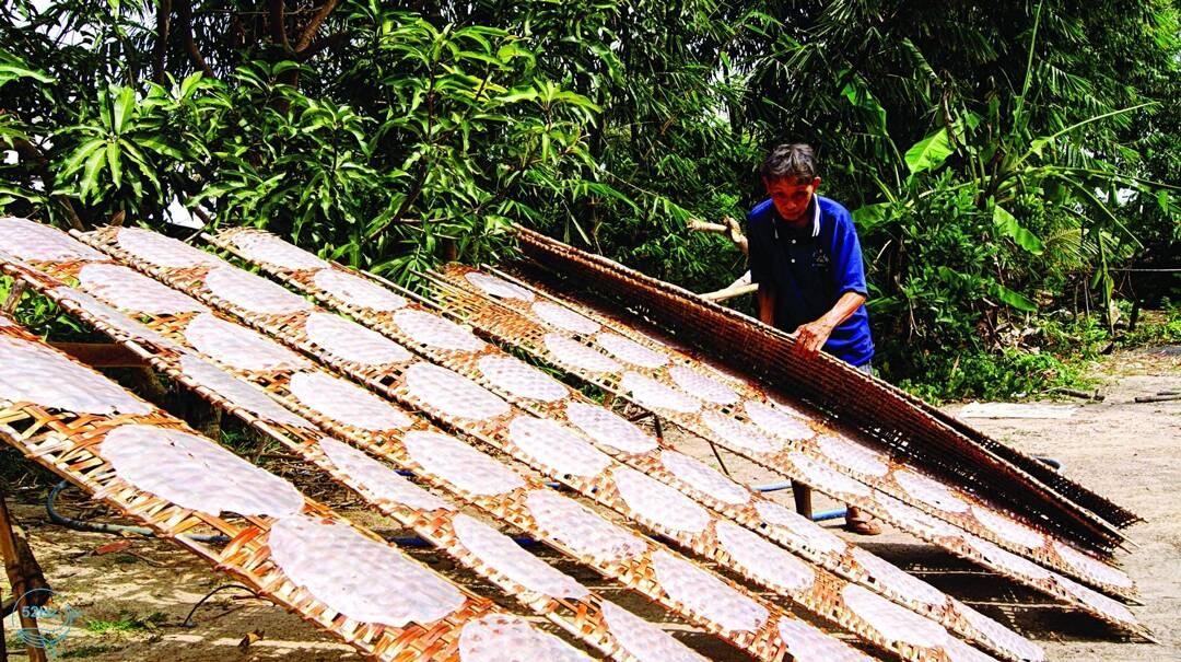 bánh tráng phơi sương đặc sản Tây Ninh