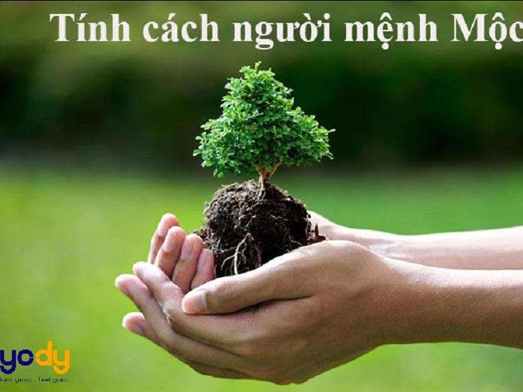 Tính cách của những người mệnh Mộc