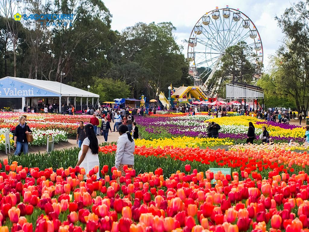 Có thể bạn chưa biết về Lễ Hội Hoa Floriade 2018