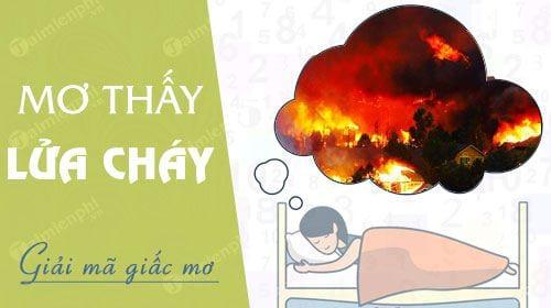 Bí mật giấc mơ: Nằm mơ thấy lửa cháy đánh vào con gì? là điềm báo gì?