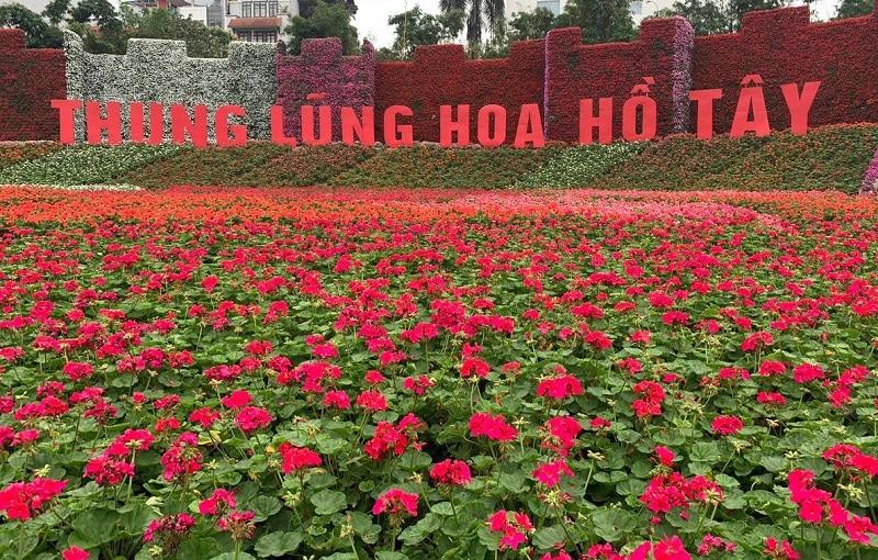 Hướng dẫn thung lũng hoa Hồ Tây chi tiết