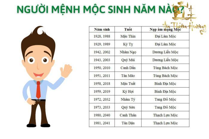 vòng tay phong thủy mệnh mộc