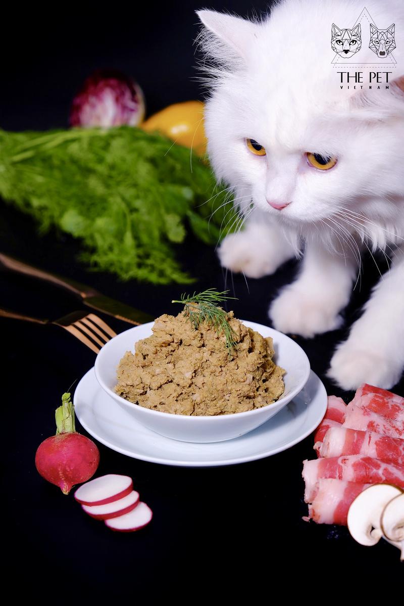 Pate cho mèo con