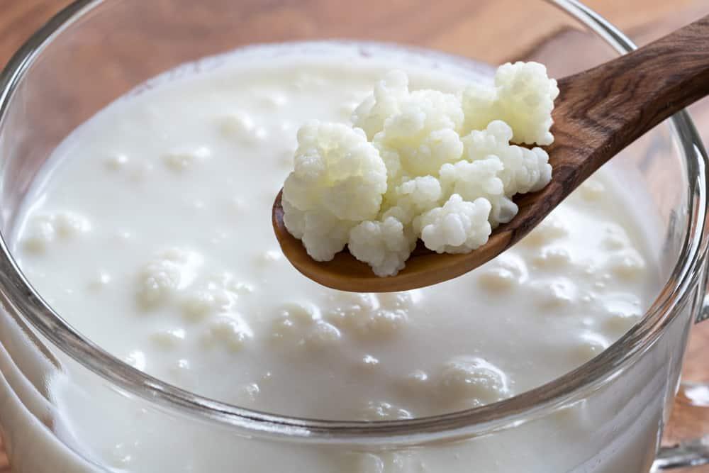 sữa chua nấm kefir