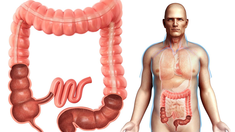 Mách bạn những loại nước ép thải độc đại tràng an toàn và hiệu quả 1