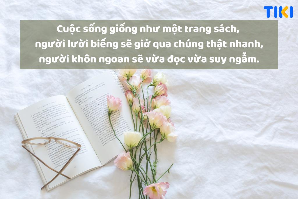 1001+ STT hay về cuộc sống - Câu Nói Ý Nghĩa Thay Đổi Đời